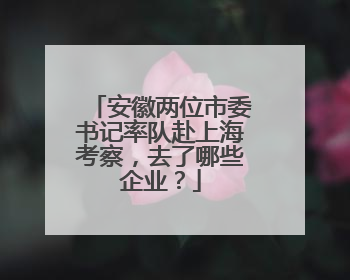 安徽两位市委书记率队赴上海考察，去了哪些企业？
