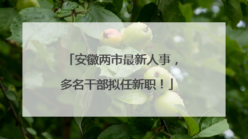 安徽两市最新人事，多名干部拟任新职！