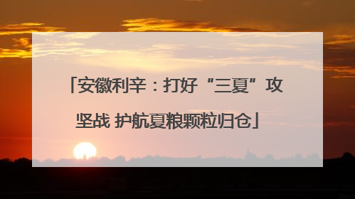 安徽利辛：打好“三夏”攻坚战 护航夏粮颗粒归仓