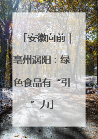 安徽向前｜亳州涡阳：绿色食品有“引”力