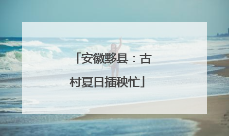 安徽黟县：古村夏日插秧忙