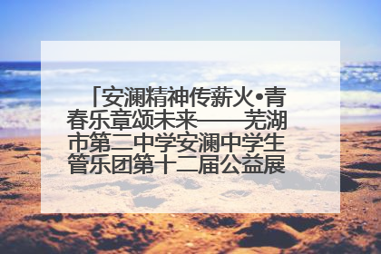 安澜精神传薪火•青春乐章颂未来——芜湖市第二中学安澜中学生管乐团第十二届公益展演圆满举行