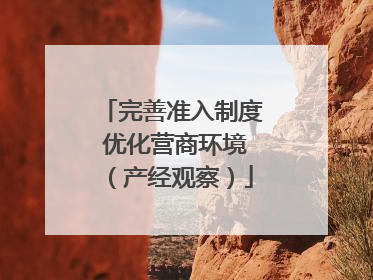 完善准入制度 优化营商环境（产经观察）