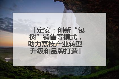 定安：创新“包树”销售等模式，助力荔枝产业转型升级和品牌打造