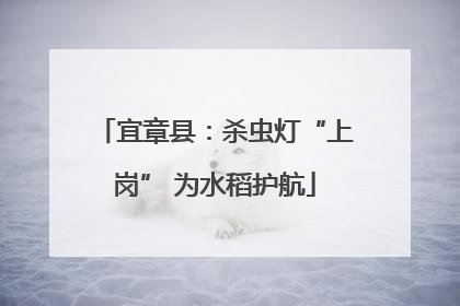 宜章县：杀虫灯“上岗” 为水稻护航