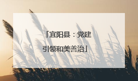 宜阳县：党建引领和美善治
