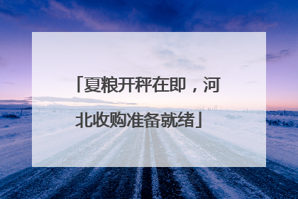 夏粮开秤在即，河北收购准备就绪