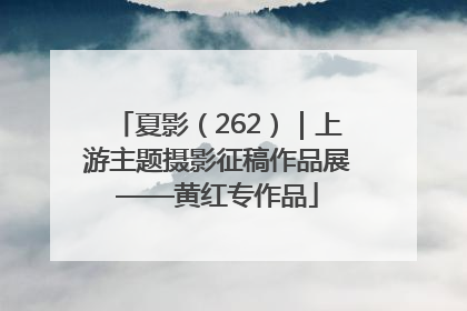 夏影（262）｜上游主题摄影征稿作品展——黄红专作品
