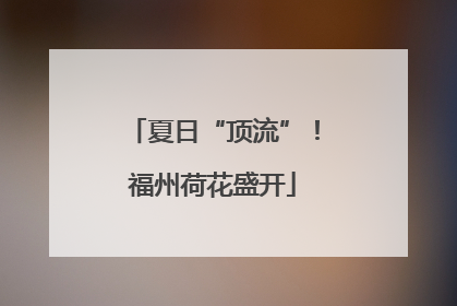 夏日“顶流”！福州荷花盛开