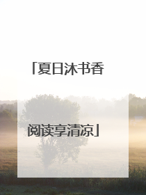 夏日沐书香 阅读享清凉