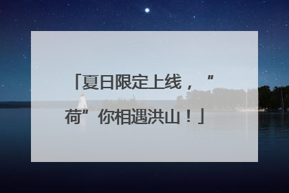 夏日限定上线，“荷”你相遇洪山！