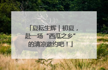 夏耘生辉｜初夏，赴一场“西瓜之乡”的清凉邀约吧！