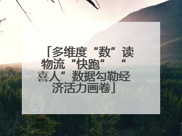 多维度“数”读物流“快跑” “喜人”数据勾勒经济活力画卷