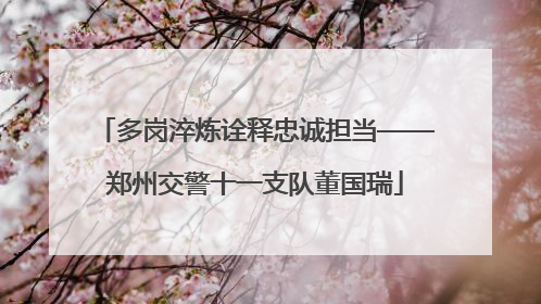多岗淬炼诠释忠诚担当——郑州交警十一支队董国瑞
