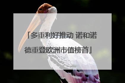 多重利好推动 诺和诺德重登欧洲市值榜首