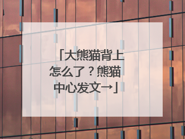 大熊猫背上怎么了？熊猫中心发文→