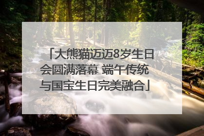 大熊猫迈迈8岁生日会圆满落幕 端午传统与国宝生日完美融合