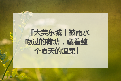 大美东城｜被雨水吻过的荷塘，藏着整个夏天的温柔