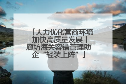 大力优化营商环境 加快高质量发展丨廊坊海关容错管理助企“轻装上阵”