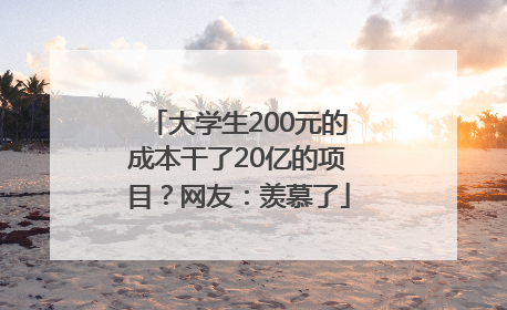 大学生200元的成本干了20亿的项目？网友：羡慕了