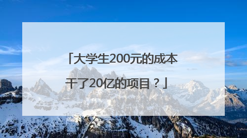 大学生200元的成本干了20亿的项目？