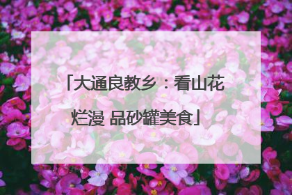 大通良教乡：看山花烂漫 品砂罐美食