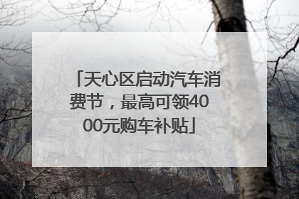 天心区启动汽车消费节，最高可领4000元购车补贴