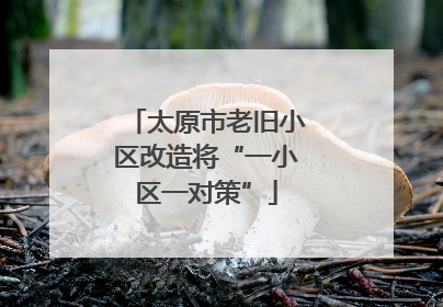太原市老旧小区改造将“一小区一对策”