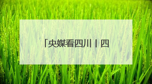 央媒看四川丨四川内江市产业帮扶巴中市通江县 梅花鸡鸣百姓富