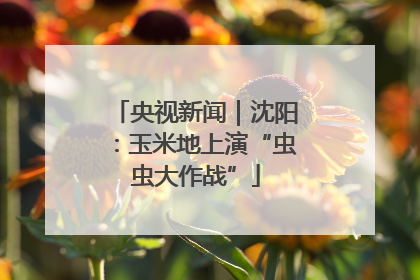 央视新闻｜沈阳：玉米地上演“虫虫大作战”