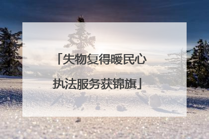 失物复得暖民心 执法服务获锦旗