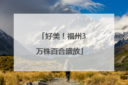 好美！福州3万株百合盛放