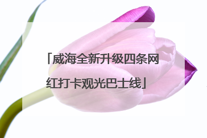 威海全新升级四条网红打卡观光巴士线