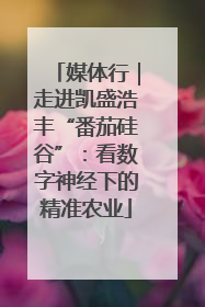 媒体行｜走进凯盛浩丰“番茄硅谷”：看数字神经下的精准农业