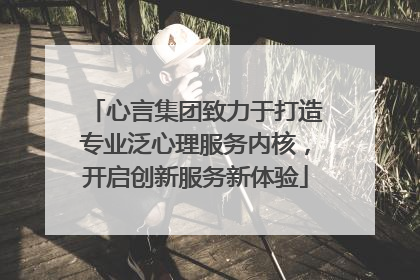 心言集团致力于打造专业泛心理服务内核，开启创新服务新体验