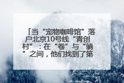 当“宠物咖啡馆”落户北京10号线“青创村”：在“卷”与“躺”之间，他们找到了第三种生活公式
