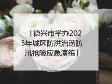 德兴市举办2025年城区防洪治涝防汛抢险应急演练