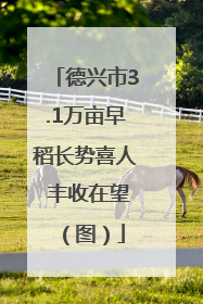 德兴市3.1万亩早稻长势喜人 丰收在望（图）
