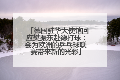 德国驻华大使馆回应樊振东赴德打球：会为欧洲的乒乓球联赛带来新的光彩