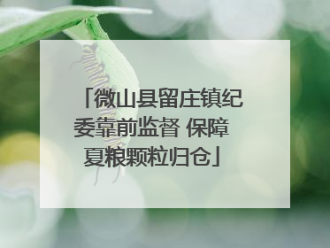微山县留庄镇纪委靠前监督 保障夏粮颗粒归仓