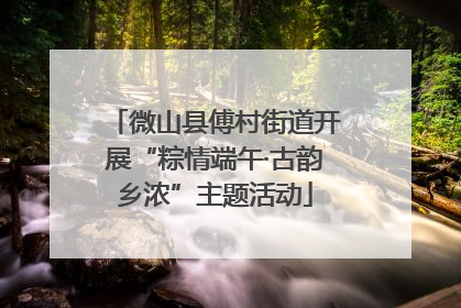 微山县傅村街道开展“粽情端午·古韵乡浓”主题活动