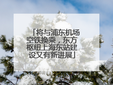 将与浦东机场空铁换乘，东方枢纽上海东站建设又有新进展