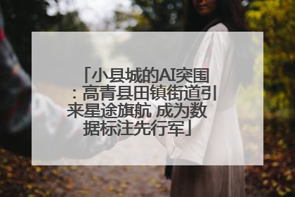 小县城的AI突围：高青县田镇街道引来星途旗航 成为数据标注先行军