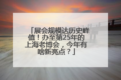 展会规模达历史峰值！办至第25年的上海老博会，今年有啥新亮点？