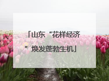 山东“花样经济”焕发蓬勃生机
