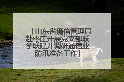 山东省通信管理局赴枣庄开展党支部联学联建并调研通信业防汛准备工作