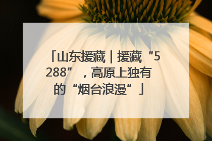 山东援藏｜援藏“5288”，高原上独有的“烟台浪漫”