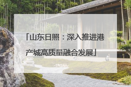 山东日照：深入推进港产城高质量融合发展