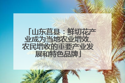 山东莒县：鲜切花产业成为当地农业增效、农民增收的重要产业发展和特色品牌