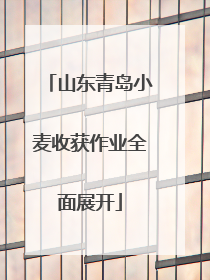 山东青岛小麦收获作业全面展开